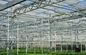 65% tuinbouw van de de Doekschaduw van de Serreschaduw Opleverende energysaving van de het Schermserre