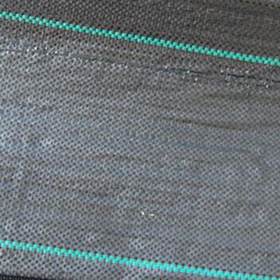 3m het Brede het Modelleren Industriële Matwerk 3x 50 van het Rangonkruid voor Moestuin