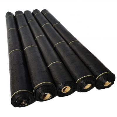 Matwerk van het commerciële Rang het Antionkruid onder Anti de Worteldoek 100gsm van het Grasgras